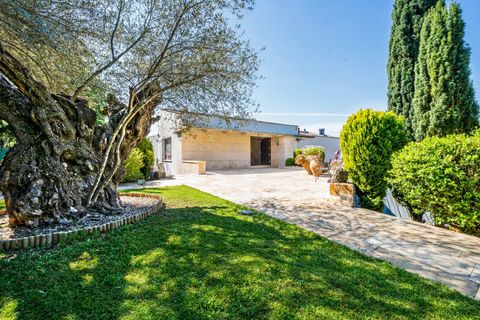 Haus in Matadepera, Barcelona, Matadepera - € 6.900.000 | Ref: EXP12280/8930 - Foto 4