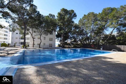 Penthouse i Salou, Tarragona, Salou - € 520.000 | Ref: EXP13446/8930 - foto 50