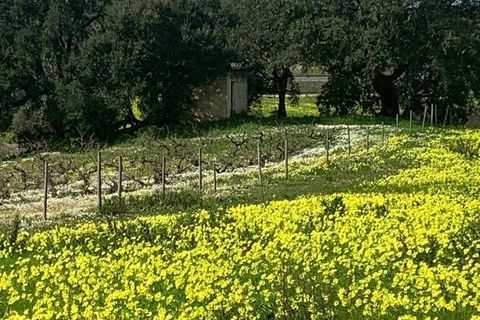 Terra a Palmela, Setubal, Palmela - € 105.000 | Ref: 814014 - foto 6