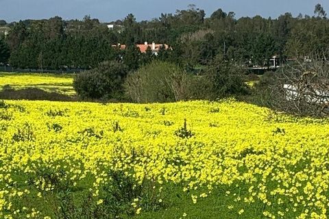 Terra a Palmela, Setubal, Palmela - € 105.000 | Ref: 814014 - foto 7