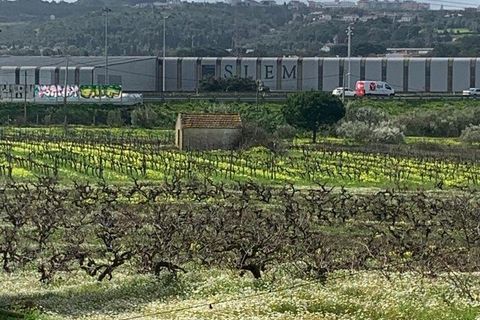 Terra a Palmela, Setubal, Palmela - € 105.000 | Ref: 814014 - foto 10