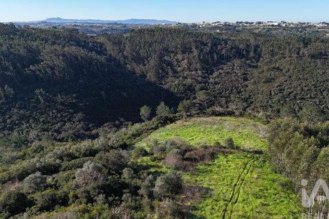 Helårsgrund i Mafra, Lisbon, Mafra - € 240.000 | Ref: 781358 - foto 1