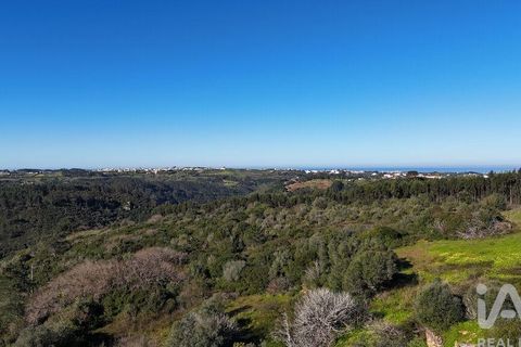 Helårsgrund i Mafra, Lisbon, Mafra - € 240.000 | Ref: 781358 - foto 3