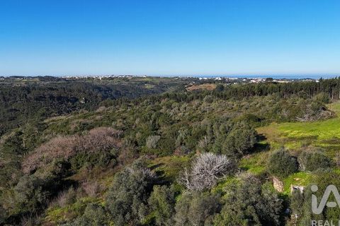 Helårsgrund i Mafra, Lisbon, Mafra - € 240.000 | Ref: 781358 - foto 4