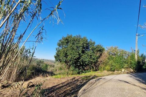 Helårsgrund i Mafra, Lisbon, Mafra - € 240.000 | Ref: 781358 - foto 7