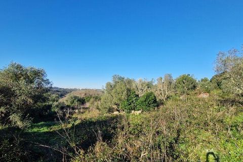 Helårsgrund i Mafra, Lisbon, Mafra - € 240.000 | Ref: 781358 - foto 8