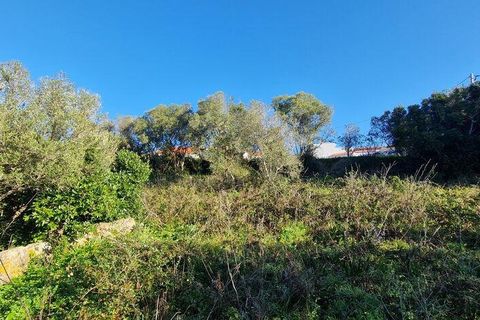 Helårsgrund i Mafra, Lisbon, Mafra - € 240.000 | Ref: 781358 - foto 10