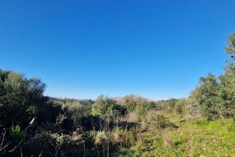 Helårsgrund i Mafra, Lisbon, Mafra - € 240.000 | Ref: 781358 - foto 12