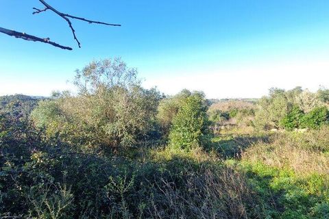 Helårsgrund i Mafra, Lisbon, Mafra - € 240.000 | Ref: 781358 - foto 13