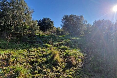 Helårsgrund i Mafra, Lisbon, Mafra - € 240.000 | Ref: 781358 - foto 15