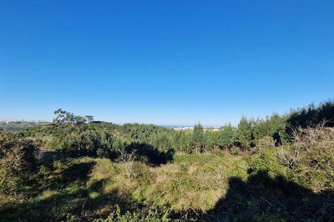 Helårsgrund i Mafra, Lisbon, Mafra - € 240.000 | Ref: 781358 - foto 20