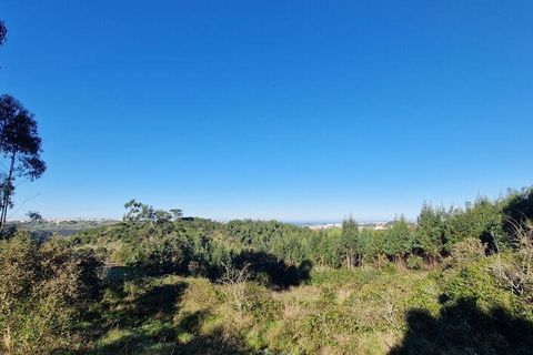 Helårsgrund i Mafra, Lisbon, Mafra - € 240.000 | Ref: 781358 - foto 21