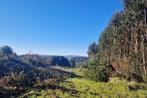 Helårsgrund i Mafra, Lisbon, Mafra - € 240.000 | Ref: 781358 - foto 22