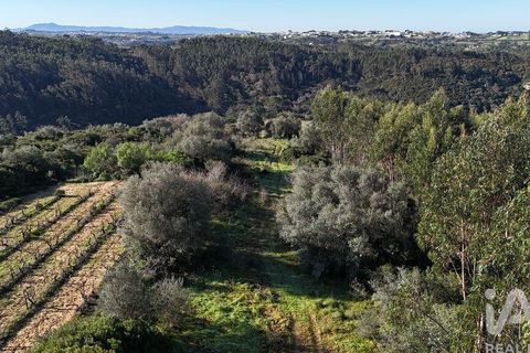 Helårsgrund i Mafra, Lisbon, Mafra - € 240.000 | Ref: 781358 - foto 23