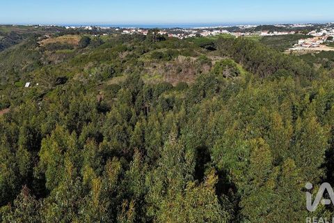 Helårsgrund i Mafra, Lisbon, Mafra - € 240.000 | Ref: 781358 - foto 24