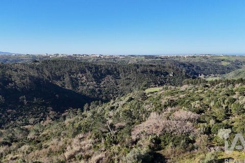 Helårsgrund i Mafra, Lisbon, Mafra - € 240.000 | Ref: 781358 - foto 25