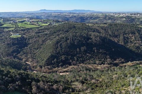 Helårsgrund i Mafra, Lisbon, Mafra - € 240.000 | Ref: 781358 - foto 26