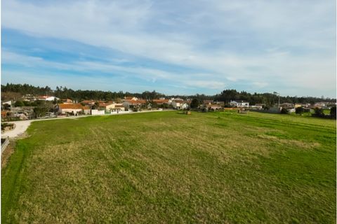 Helårsgrund i Bom Sucesso, Aveiro, Bom Sucesso - € 55.000 | Ref: CNTDC 6212 - foto 2