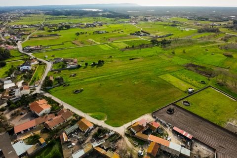 Helårsgrund i Bom Sucesso, Aveiro, Bom Sucesso - € 55.000 | Ref: CNTDC 6212 - foto 4