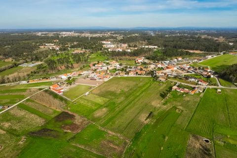 Helårsgrund i Bom Sucesso, Aveiro, Bom Sucesso - € 55.000 | Ref: CNTDC 6212 - foto 10
