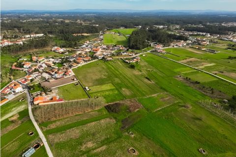 Helårsgrund i Bom Sucesso, Aveiro, Bom Sucesso - € 55.000 | Ref: CNTDC 6212 - foto 11