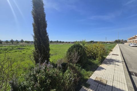 Helårsgrund i Campillos, Malaga, Campillos - € 1.400.000 | Ref: R5307037 - foto 11
