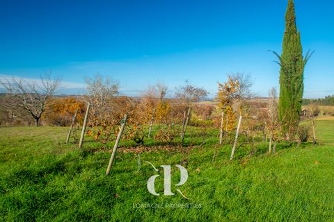 Villa a Miradoux, Gers, Miradoux - € 595.000 | Ref: LP97377 - foto 18