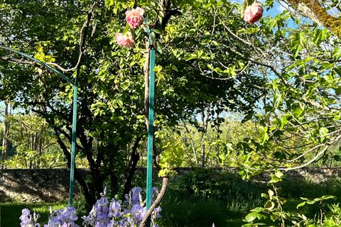 Villa a Lectoure, Gers, Lectoure - € 550.000 | Ref: LP99362 - foto 7