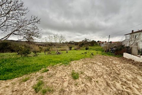 Helårsgrund i Alcobaca, Leiria, Alcobaca - € 139.000 | Ref: RVE2972 - foto 8