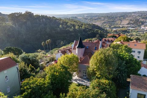 Villa a Sintra, Lisbon, Sintra - € 3.900.000 | Ref: W-046Q7Q - foto 7