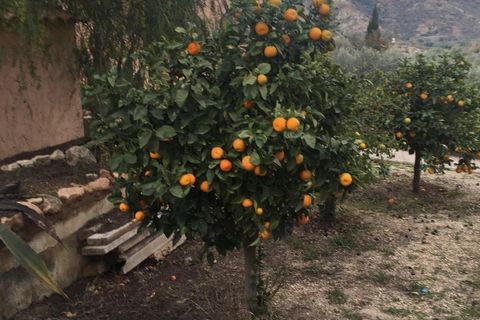 Villa i Grima, Almeria, Grima - € 490.000 | Ref: 50062 - foto 40