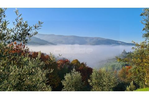 Farm i Arganil, Coimbra, Arganil - € 1.675.000 | Ref: VIL_1017 - foto 10