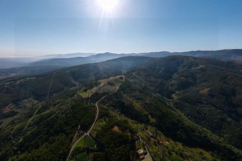 Farm i Arganil, Coimbra, Arganil - € 1.675.000 | Ref: VIL_1017 - foto 12