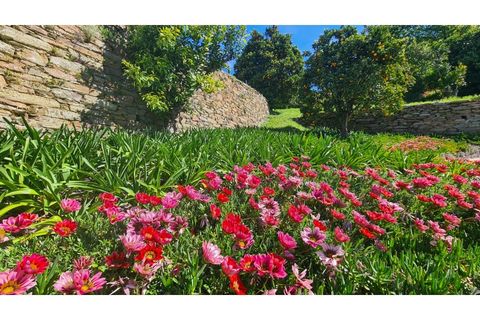 Farm i Arganil, Coimbra, Arganil - € 1.675.000 | Ref: VIL_1017 - foto 38