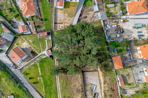 Helårsgrund i Amarante, Porto, Amarante - € 77.000 | Ref: 20261001GD/12937 - foto 9