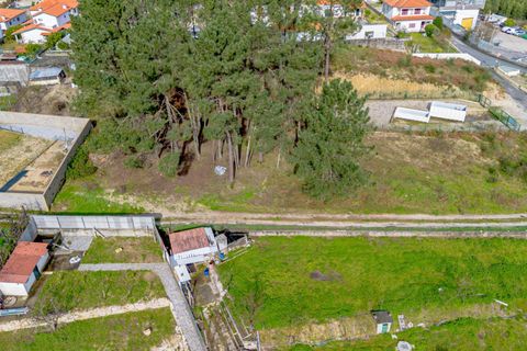 Helårsgrund i Amarante, Porto, Amarante - € 77.000 | Ref: 20261001GD/12937 - foto 10