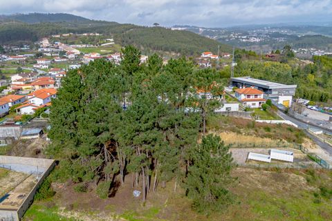 Helårsgrund i Amarante, Porto, Amarante - € 77.000 | Ref: 20261001GD/12937 - foto 11
