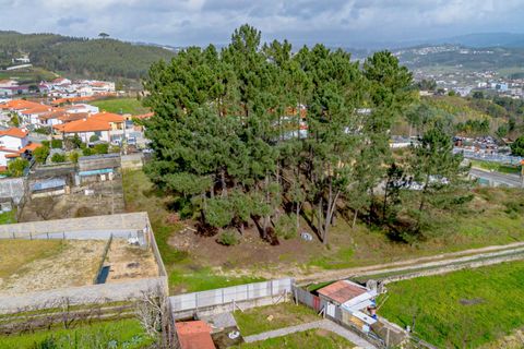 Helårsgrund i Amarante, Porto, Amarante - € 77.000 | Ref: 20261001GD/12937 - foto 12