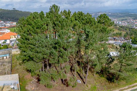 Helårsgrund i Amarante, Porto, Amarante - € 77.000 | Ref: 20261001GD/12937 - foto 13
