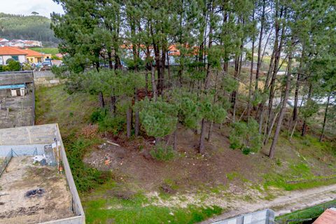 Helårsgrund i Amarante, Porto, Amarante - € 77.000 | Ref: 20261001GD/12937 - foto 16