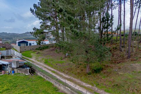 Helårsgrund i Amarante, Porto, Amarante - € 77.000 | Ref: 20261001GD/12937 - foto 19
