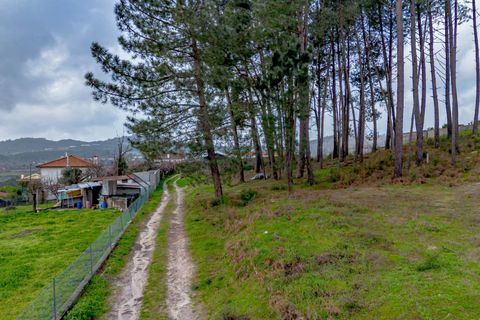 Helårsgrund i Amarante, Porto, Amarante - € 77.000 | Ref: 20261001GD/12937 - foto 21