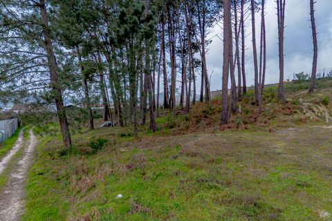 Helårsgrund i Amarante, Porto, Amarante - € 77.000 | Ref: 20261001GD/12937 - foto 22
