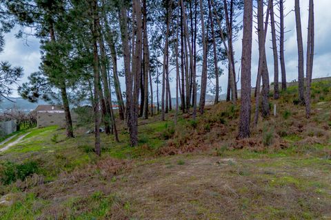 Helårsgrund i Amarante, Porto, Amarante - € 77.000 | Ref: 20261001GD/12937 - foto 23