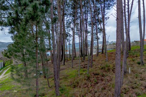 Helårsgrund i Amarante, Porto, Amarante - € 77.000 | Ref: 20261001GD/12937 - foto 24