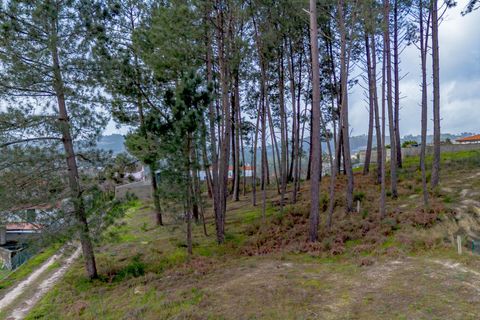 Helårsgrund i Amarante, Porto, Amarante - € 77.000 | Ref: 20261001GD/12937 - foto 25