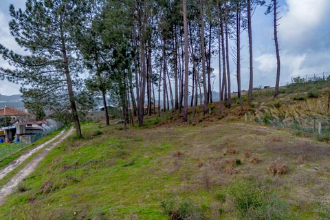 Helårsgrund i Amarante, Porto, Amarante - € 77.000 | Ref: 20261001GD/12937 - foto 26