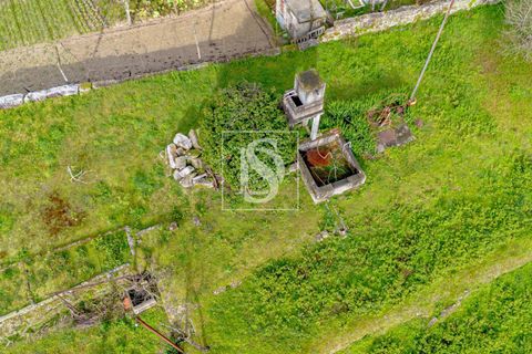 Villa i Amarante, Porto, Amarante - € 330.000 | Ref: 20261003GD/12937 - foto 46
