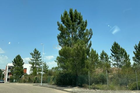 Terra a Macao, Santarem, Macao - € 70.000 | Ref: C0468-00494 - foto 4