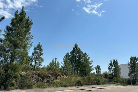 Terra a Macao, Santarem, Macao - € 70.000 | Ref: C0468-00494 - foto 8
